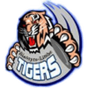 Mighty Tigers